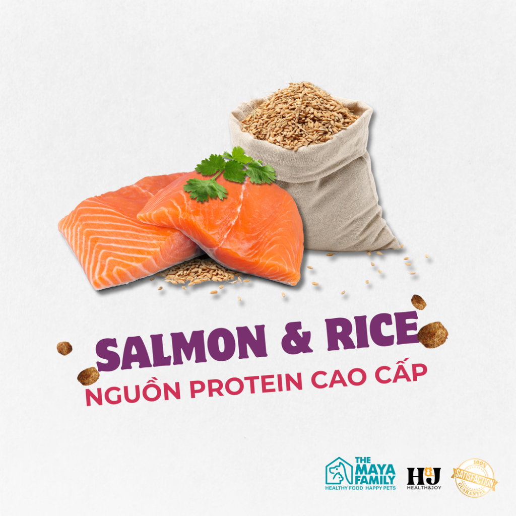 Ảnh Hạt cho mèo triệt sản HJ PREMIUM SALMON, RICE STERILISED CAT - cá hồi, gà, bò bao 2kg 4