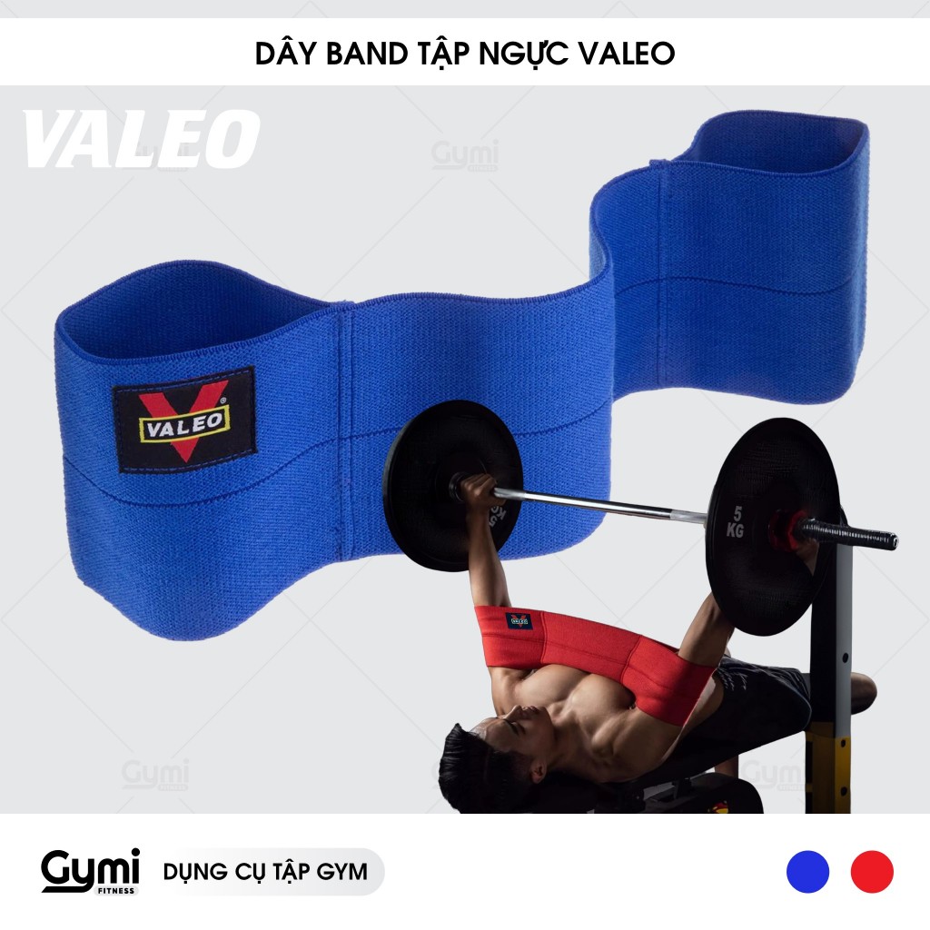 Dây Band Hỗ Trợ Tập Ngực, Tập Tay Trước Cao Cấp Chính Hãng VALEO - DayBandValeo
