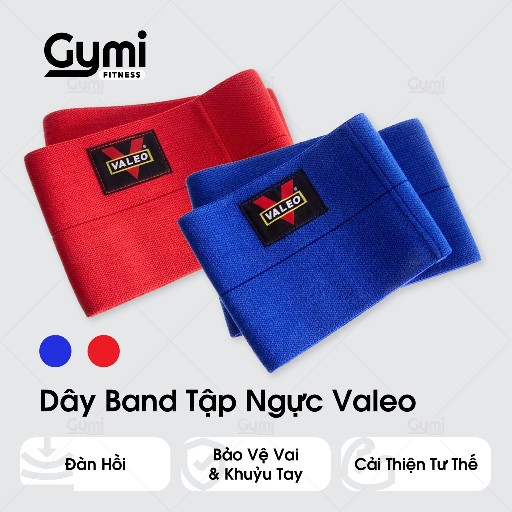 Dây Band Hỗ Trợ Tập Ngực, Tập Tay Trước Cao Cấp Chính Hãng VALEO - DayBandValeo