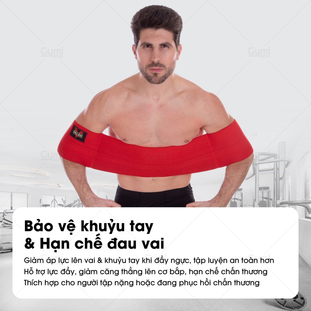 Dây Band Hỗ Trợ Tập Ngực, Tập Tay Trước Cao Cấp Chính Hãng VALEO - DayBandValeo