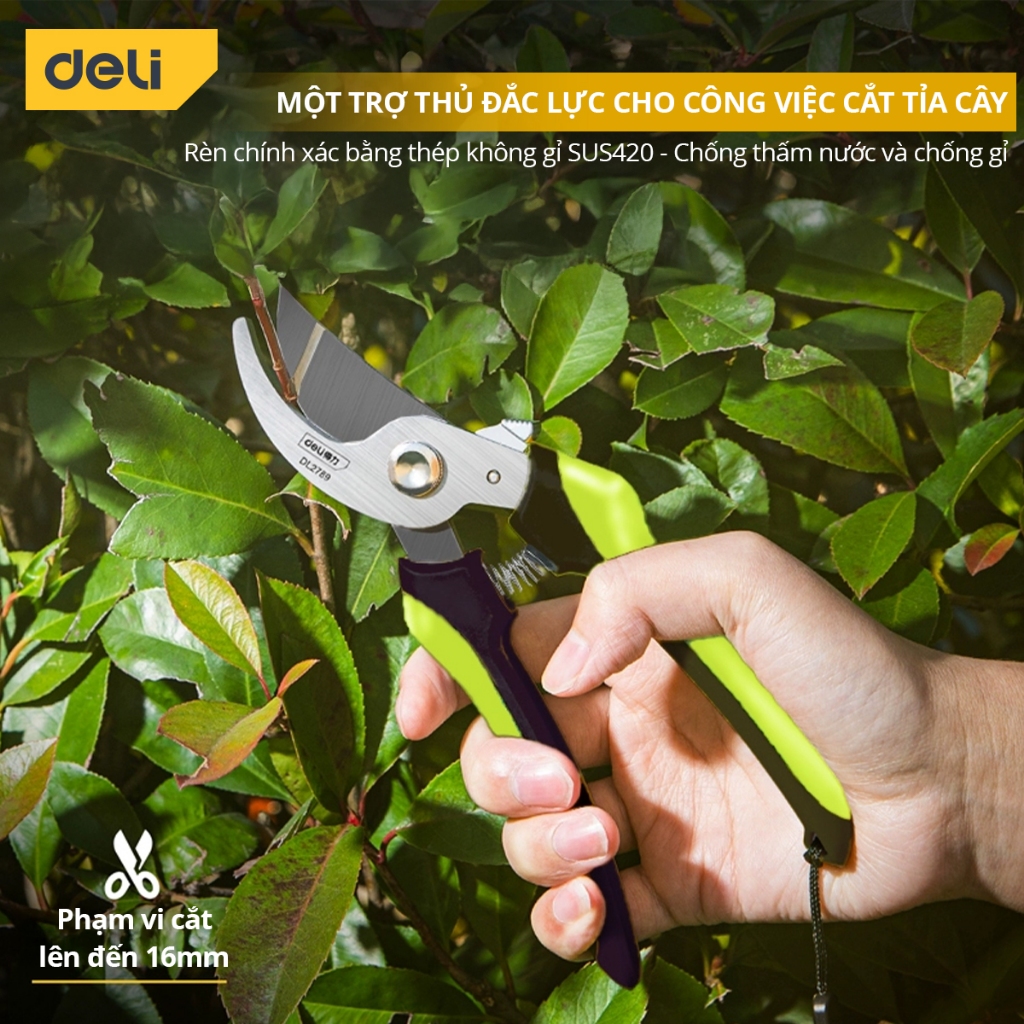 Kéo Cắt Tỉa Cành Cây Deli Chính Hãng 210mm - Lưỡi Thép Sắc Bén, Siêu Bền, Tay Cầm Đệm Cao Su An Toàn, Chắc Chắn - DL2789