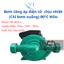 Bơm tăng áp điện tử chịu nhiệt (Chỉ bơm xuống) 80°C Wilo WILO PB 201EA