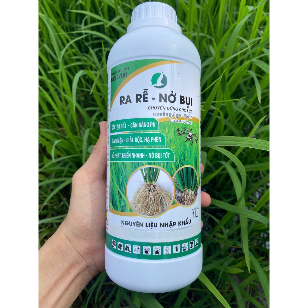 Phân bón RA RỂ - NỞ BỤI Lúa 1L - Kích rễ lúa, bụi to, cứng cây, phát ...