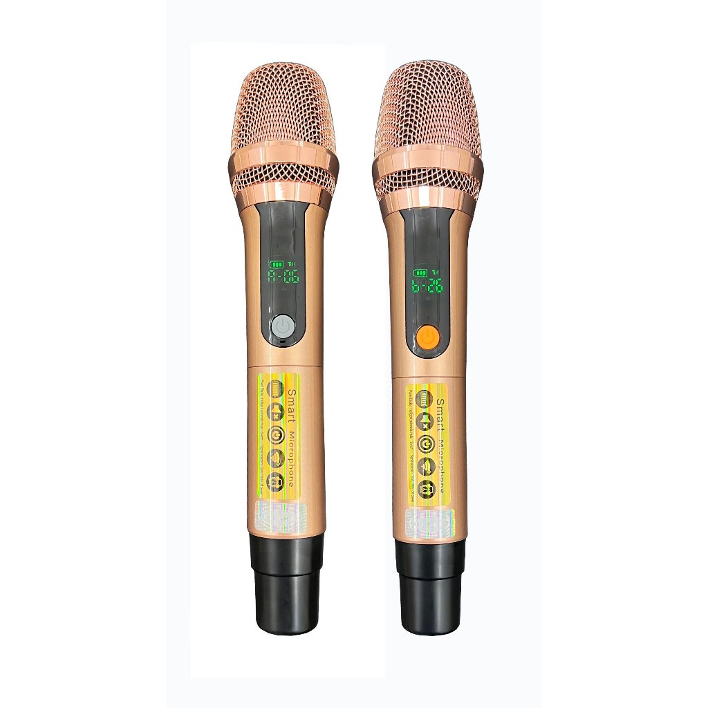 Loa xách tay Karaoke Di Động N2283K, Bass Đôi 20cm, Công Suất 500W, Loa 2 Đường Tiếng, Mic UHF - Hàng chính hãng