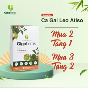 Trà túi lọc Mát Gan - Cà Gai Leo Atiso Giga Herbs - giúp mát gan,lợi tiểu hộp 56gr (20 gói)