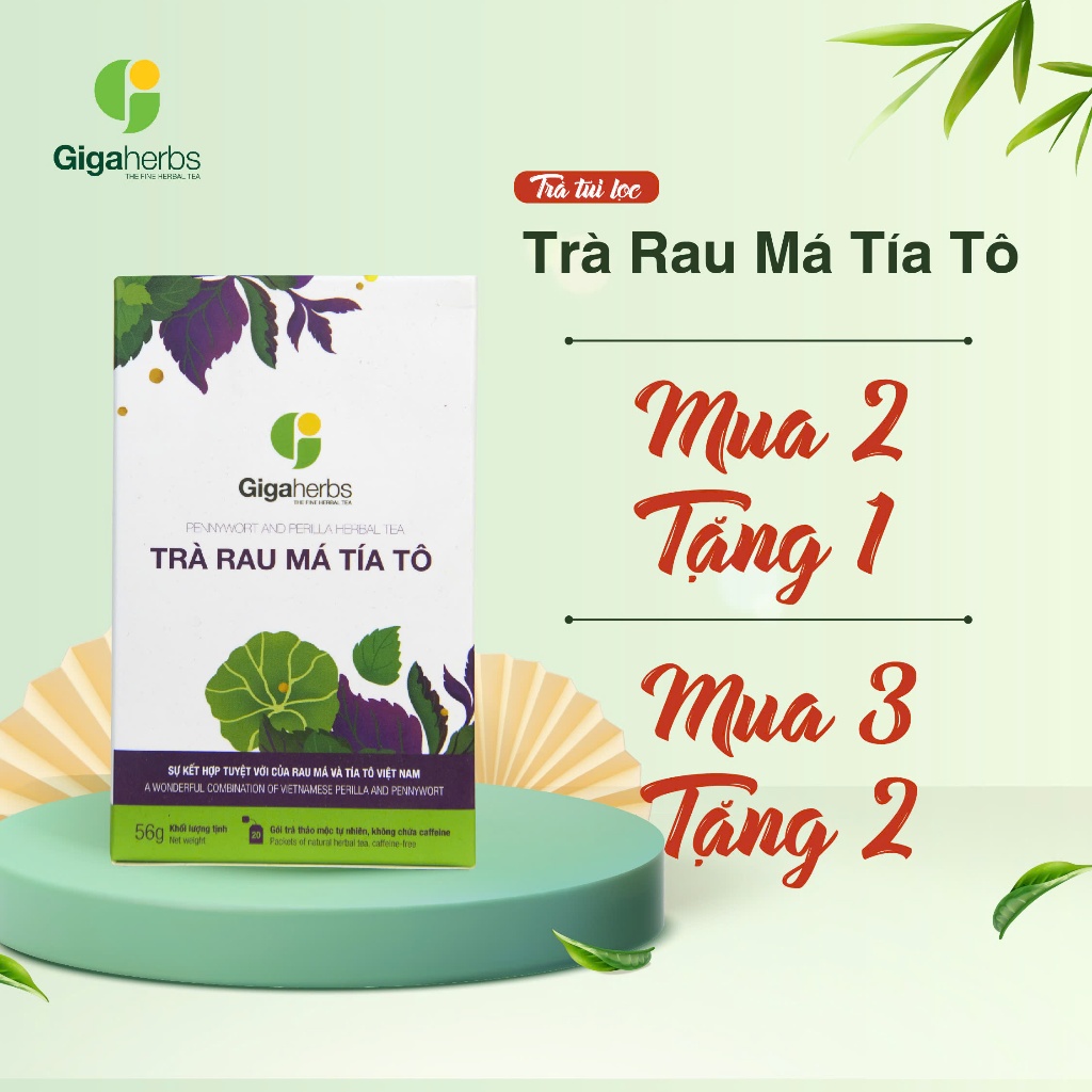 Trà Túi Lọc Rau Má Tía Tô GIGAHERBS - Giúp Thanh Nhiệt Giải Độc Mát Gan Hộp 20 gói