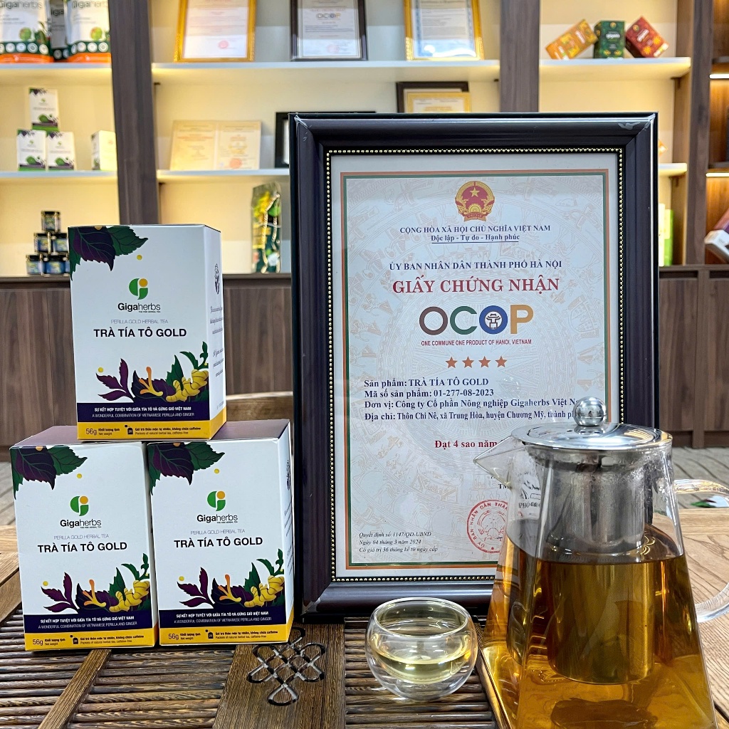 Trà Túi Lọc Trà Tía Tô Gold GIGAHERBS - hỗ trợ gút, làm đẹp da (Hộp 20 gói)