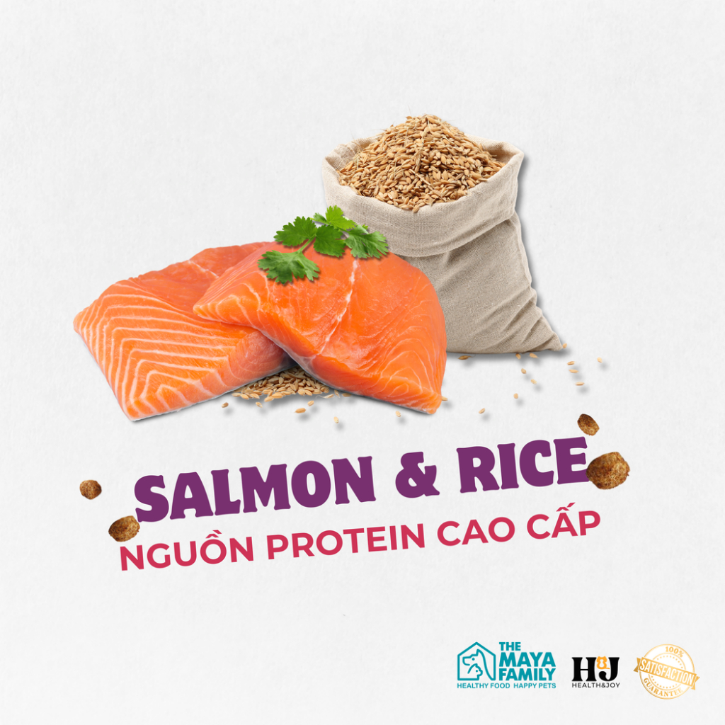 Ảnh Hạt cho chó HJ PREMIUM SALMON, RICE ADULT DOG - Cá hồi, bò, gà - Bao 2kg 4