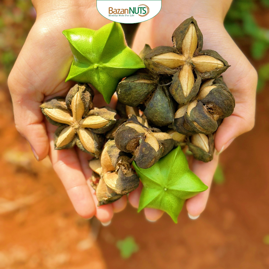 Nhân Hạt Sachi Sấy Sachi Inchi Nguyên Chất BAZANNUTS 1 Hộp 200g Cung Cấp Omega 369