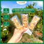 Thanh năng lượng siêu hạt ít ngọt BazanNuts 1 SET 3Thanh 100gr - Ăn vặt Snack Food Thức ăn
