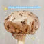 Mũ Ủ Tóc Trùm Tóc Khi Tắm Họa Tiết Nơ Co Giãn Tốt, Mũ Tắm Trùm Tóc 2 Lớp Chống Nước Bibabibo