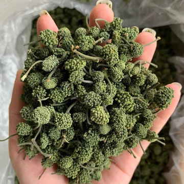 Nụ Hoa Tam Thất Sấy Khô Lai Châu Tây Bắc - Hỗ trợ An Thần, Ngủ Ngon, Hỗ Trợ Tim Mạch, Tăng Cường Đề Kháng