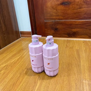 BỘ GỘI XÃ PHỤC HỒI TÓC CHUYÊN SÂU ROLICHI 800ML
