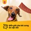 Pedigree Schmackos Bánh thưởng cho chó 70g (3 gói)