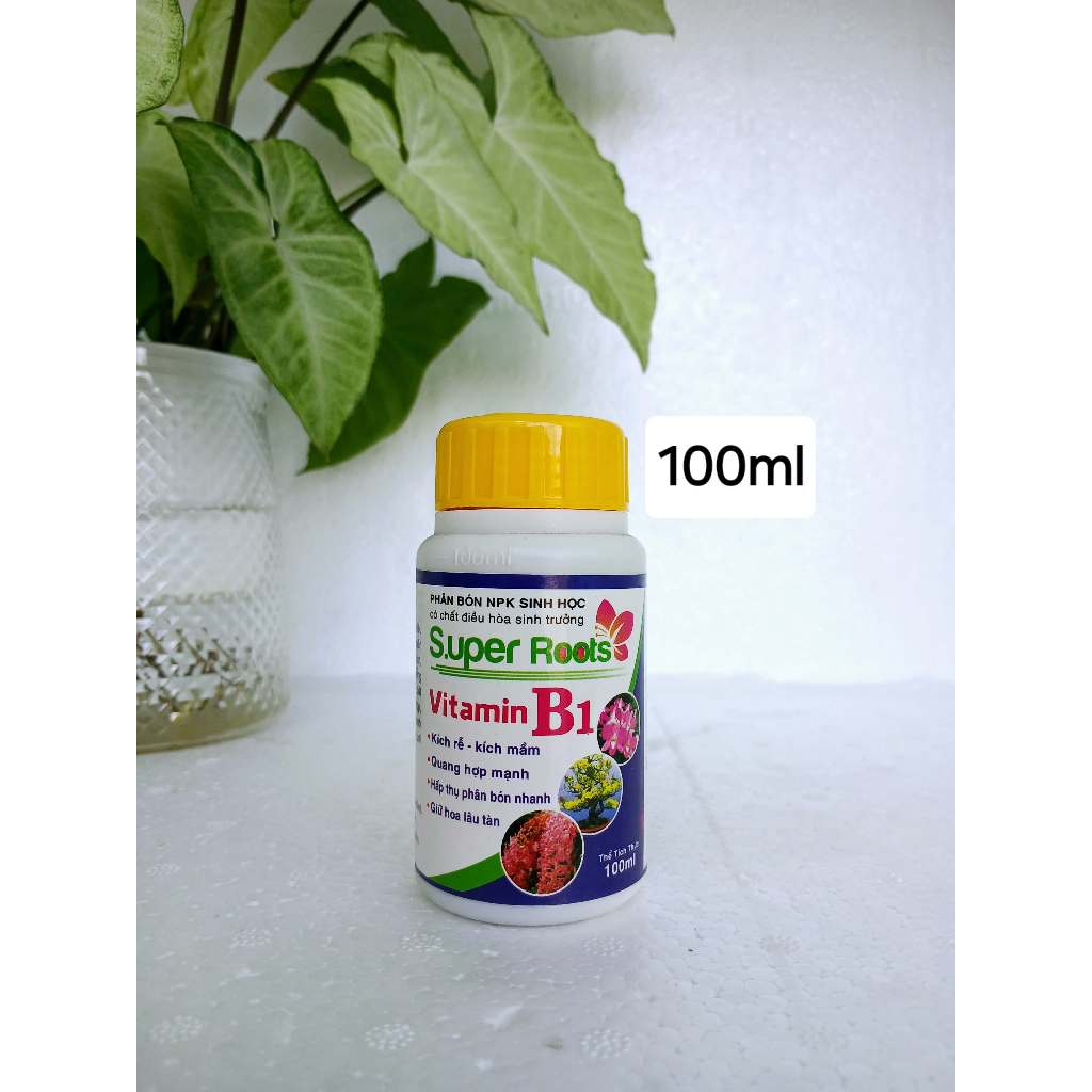 Super Roots Vitamin B1 - Kích Rễ Kích Mầm - Chai 100ml abclamshop ...