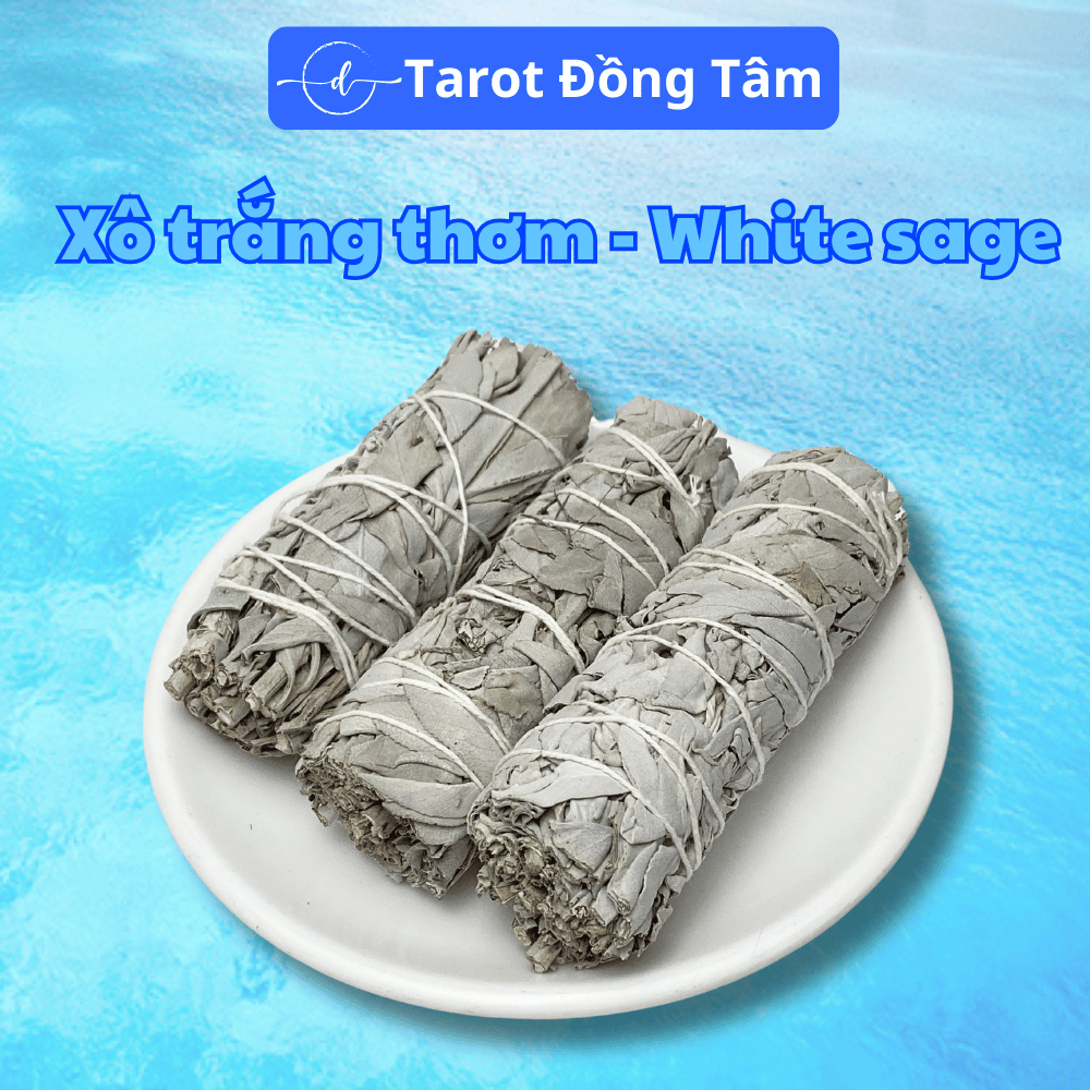 Xô thơm white sage, thảo mộc xông nhà xô thơm trắng, lá xô thơm thanh ...