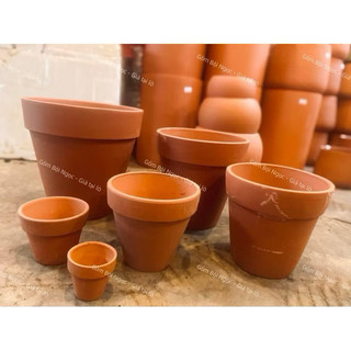 Chậu Đất Nung Nhiều Màu Nhiều Kích Thước - Chậu Ly - Trồng Sen Đá - Xương Rồng Từ 17cm Đến 20cm - Gốm Lái Thiêu