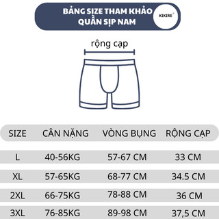 RANDOM Quần Sịp Đùi Nam Chữ Kí Màu Dễ Mặc Chất Liệu Thun Lạnh Thoáng Khí Co Giãn 4 Chiều Boxer QSN31
