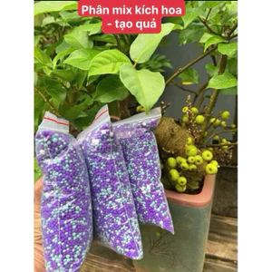 Phân bón mix - Kích sung , me ,khế,ổi ra quả theo ý muốn