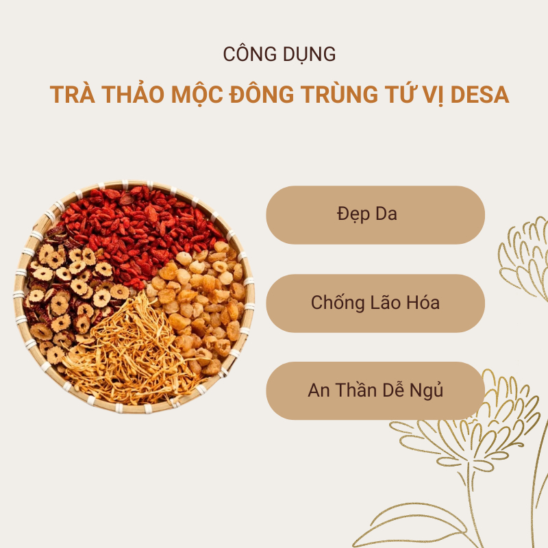 Trà đông trùng tứ vị DESA - đẹp da, chống lão hóa, dễ ngủ, bồi bổ sức khỏe (Hộp 15/30Gói)