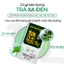 Trà Xạ Đen Hòa Bình Sunbeleaf - Tiêu U, Phòng Ung Thư Và Giải Độc Gan