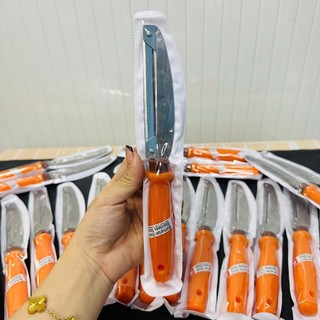 DAO BÀO CÁN VÀNG CHUẨN THÁI LAN dao bào gọt 2 lưỡi thái lan lưỡi thép tay cầm nhựa màu vàng - Hùng Home