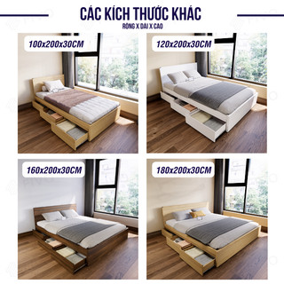 Giường Ngủ Gỗ FIVO FN03, 3 Hộc Tủ Sức Chứa Lớn, Nhiều Kích Thước Màu Sắc, Trả Góp 0%, Freeship + Free lắp đặt