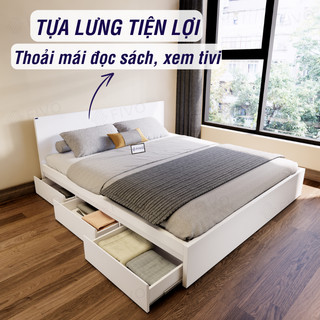 Giường Ngủ Gỗ FIVO FN03, 3 Hộc Tủ Sức Chứa Lớn, Nhiều Kích Thước Màu Sắc, Trả Góp 0%, Freeship + Free lắp đặt