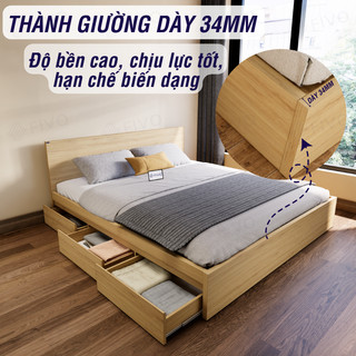 Giường Ngủ Gỗ FIVO FN03, 3 Hộc Tủ Sức Chứa Lớn, Nhiều Kích Thước Màu Sắc, Trả Góp 0%, Freeship + Free lắp đặt