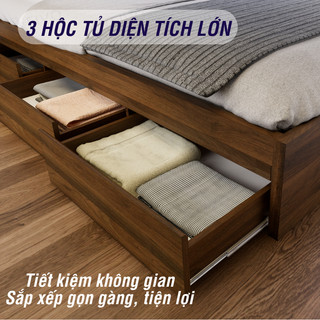 Giường Ngủ Gỗ FIVO FN03, 3 Hộc Tủ Sức Chứa Lớn, Nhiều Kích Thước Màu Sắc, Trả Góp 0%, Freeship + Free lắp đặt