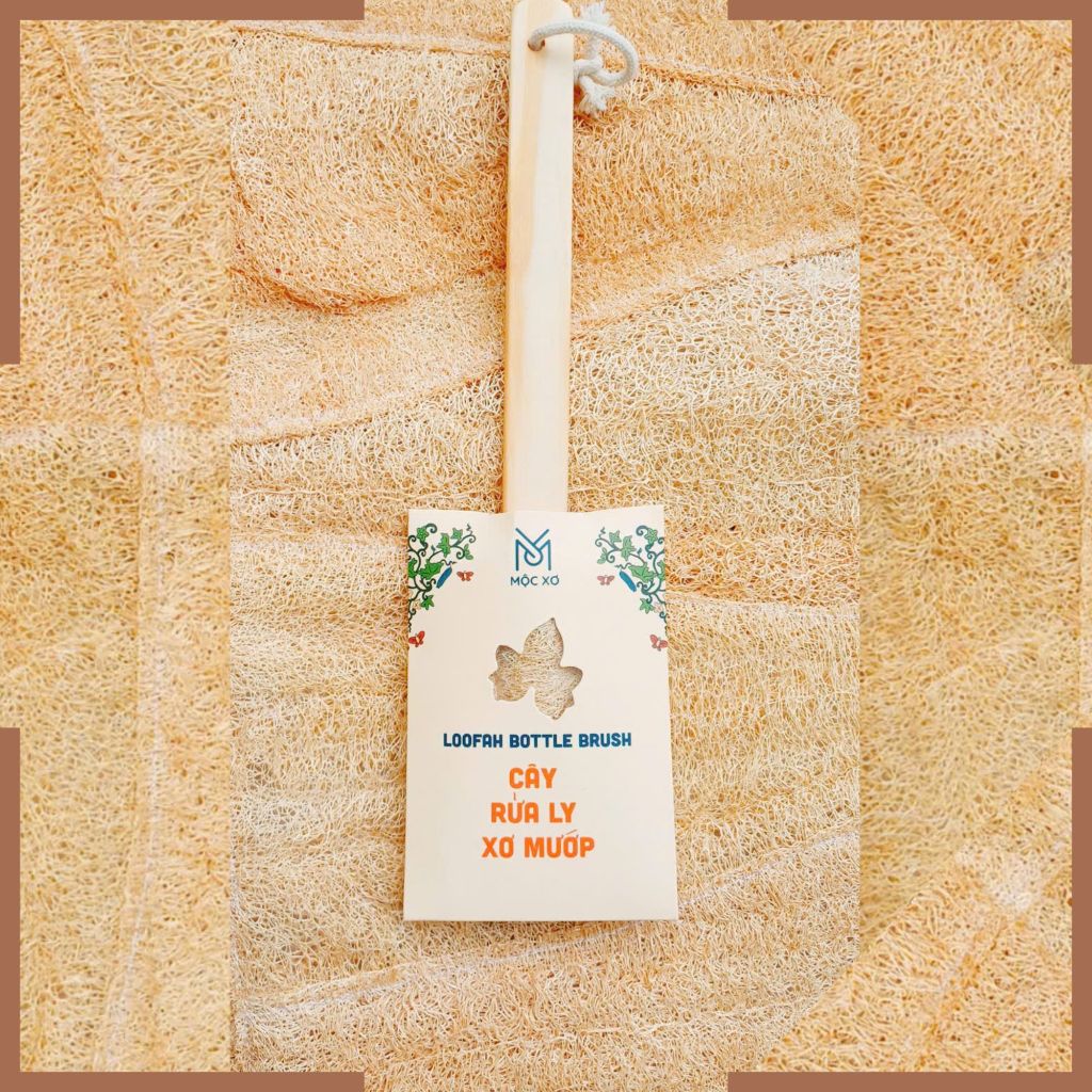 Cây Rửa Ly Mộc Xơ 6-8 Cánh - Xơ Mướp Tự Nhiên - Cây Rửa Bình Sữa - Cây Rửa Cốc - Cây Rửa Bình Nước