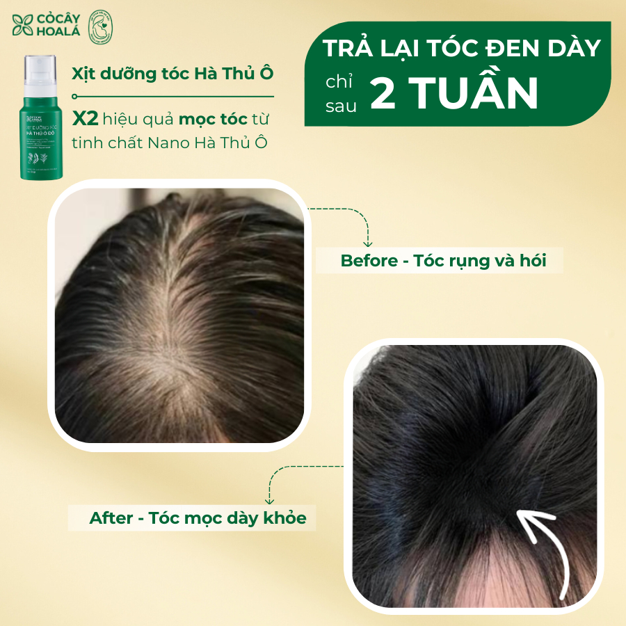Ảnh XỊT DƯỠNG TÓC THẢO DƯỢC HÀ THỦ Ô ĐỎ CỎ CÂY HOA LÁ 100G - CẢI THIỆN GÃY RỤNG 2
