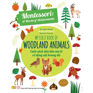 Sách - Montessori A World of Achievements - Cuốn Sách Đầu Tiên Của Tớ - ndbooks