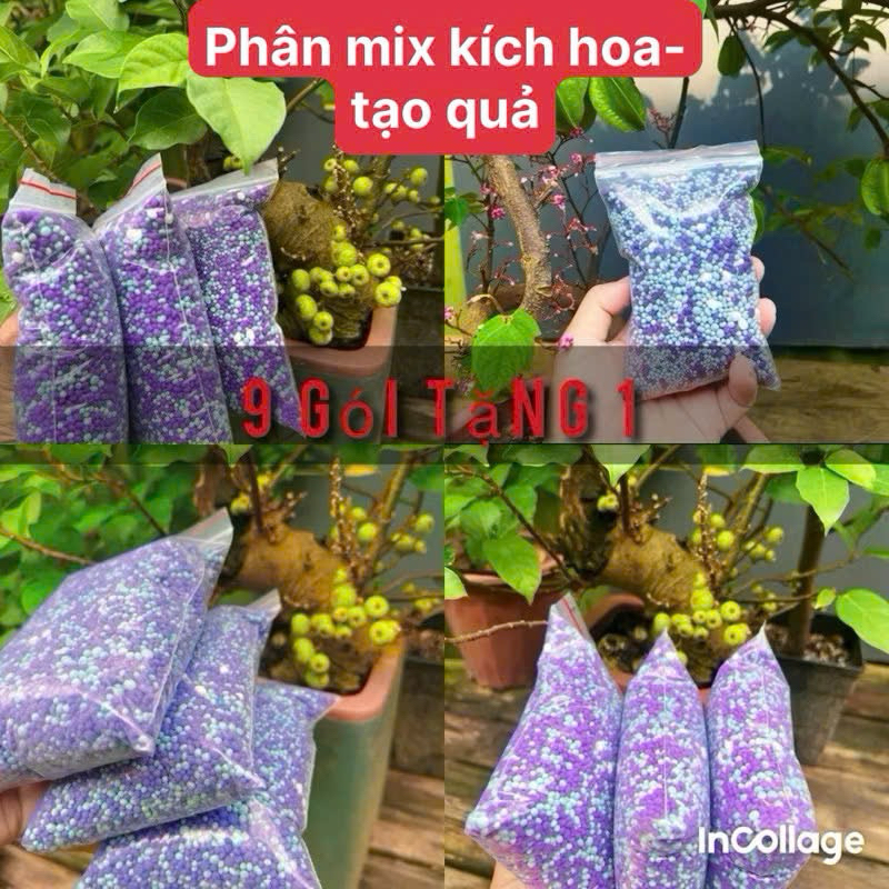 combo 9 gói tặng 1 phân bón kích hoa tạo quả