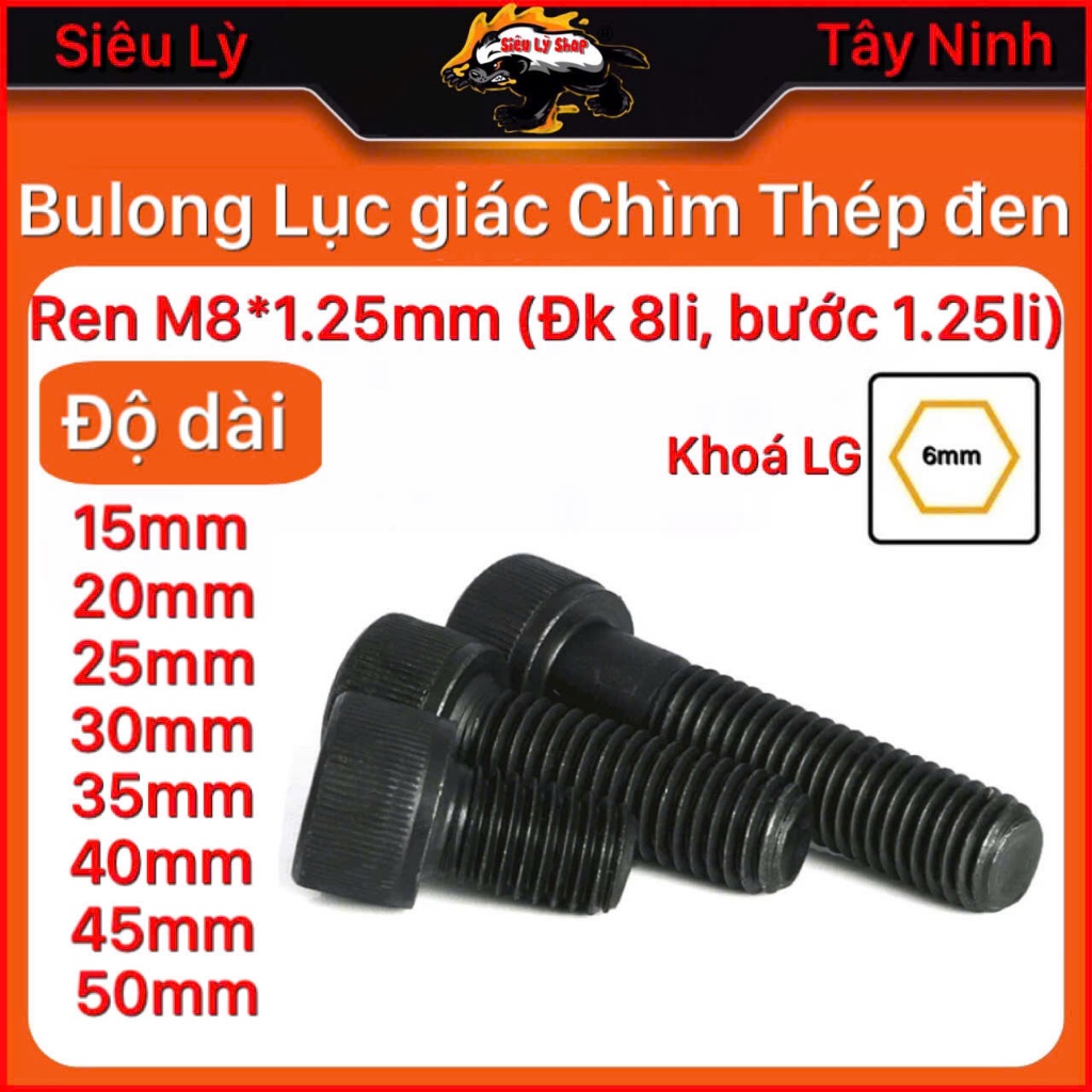 Set 10 con Bulong Lục giác chìm Thép đen M8 (Ren M8*1.25mm, Độ Dài từ ...