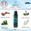 Xịt Khử Mùi Nam Breeze Dry Protection 150ml – Hương Nước Hoa Ý – 48h Khô Thoáng & Ngăn Mồ Hôi