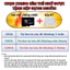 Camera Wifi Yoosee BH 5 NĂM 2 Mắt Ngoài Trời Q42D-Hình Ảnh Sắc Nét Siêu Góc Rộng - Đàm Thoại 2 Chiều