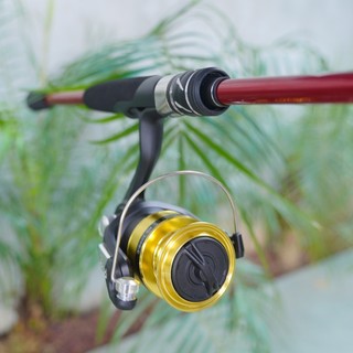 [LK HÒA] BỘ 2 SẢN PHẨM CẦN CÂU CHEAP LK VÀ MÁY DAIWA RS, BỘ CẦN MÁY CHUYÊN CÂU LURE