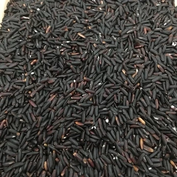1kg Gạo Lứt Đen Điện Biên (LOẠI NGON) - Gạo Lứt Đen Hữu Cơ Cho Người Ăn Kiêng - Gạo Lứt Dẻo Thơm