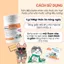 Beta Amin - Bột Dinh Dưỡng EcoPets Tăng Cường Đề Kháng & Hỗ Trợ Miễn Dịch Cho Mèo Chó