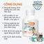Beta Amin - Bột Dinh Dưỡng EcoPets Tăng Cường Đề Kháng & Hỗ Trợ Miễn Dịch Cho Mèo Chó
