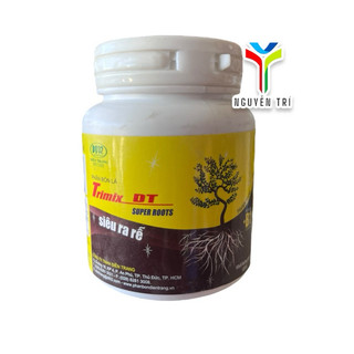 Kích rễ B1 super root điền trang dt02.