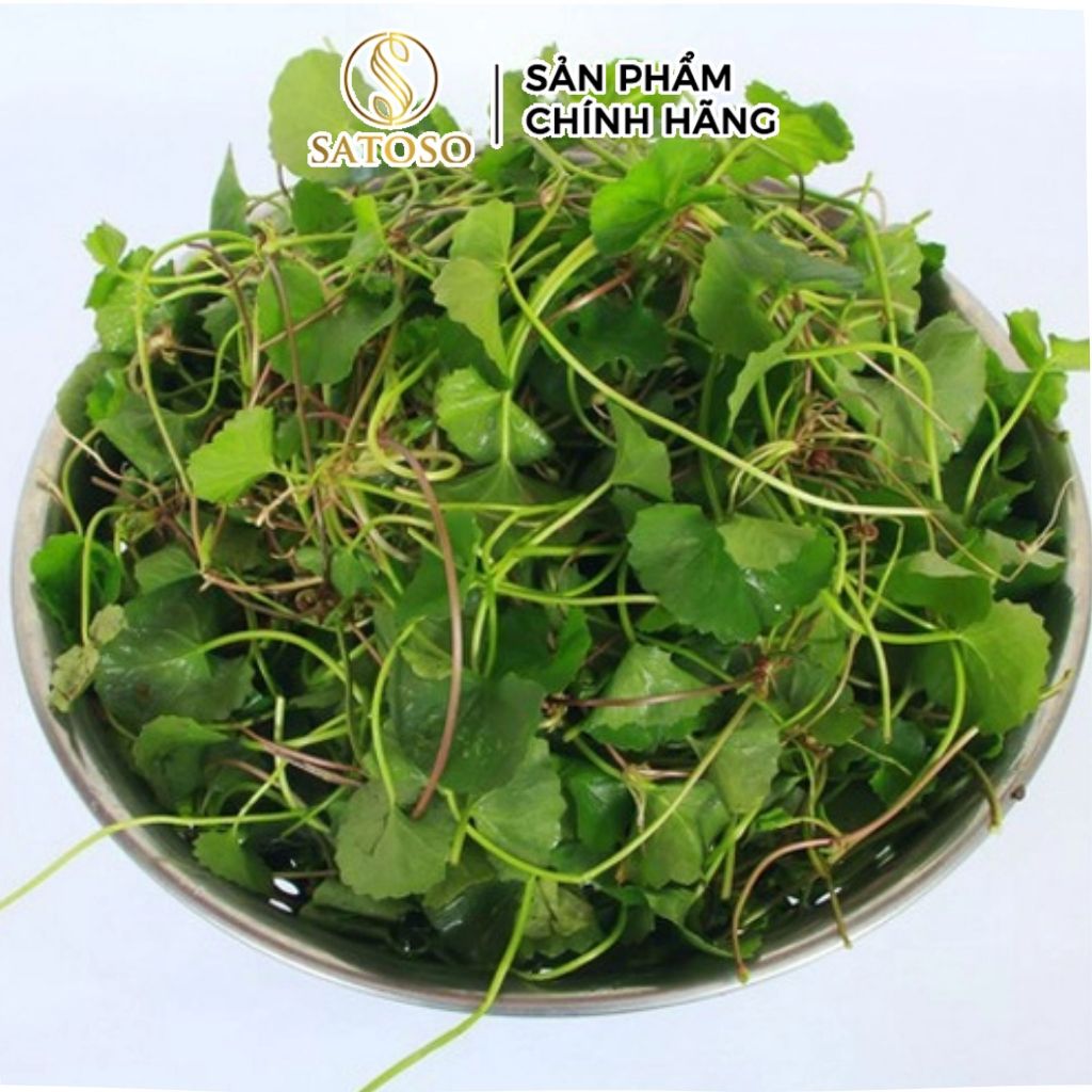 Cây Rau Má Khô Satoso Hỗ Trợ Thanh Nhiệt, Mát Gan Gói 1kg | Shopee Việt Nam