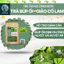 Trà Búp ổi Giảo cổ lam- DIỆP CHI- Giúp ổn định đường huyết và huyết áp, giảm cân an toàn- 30 túi lọc