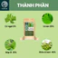Trà Búp ổi Giảo cổ lam- DIỆP CHI- Giúp ổn định đường huyết và huyết áp, giảm cân an toàn- 30 túi lọc