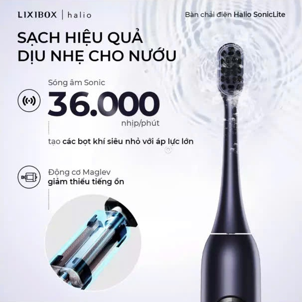 [SPLIVE] Bàn Chải Điện Halio SonicLite Electric Toothbrush - Ocean Blue