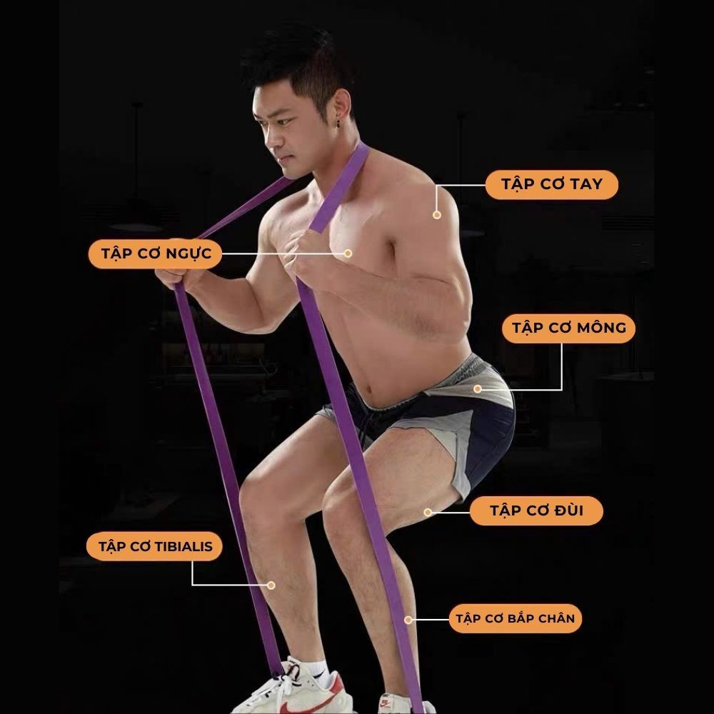 Dây kháng lực Giá Tốt, Miễn Phí Vận Chuyển, Đủ Loại Shopee