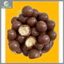 Combo 48 Gói Kẹo Socola Chocoball Treat Nhập Khẩu Bangladesh, Ăn Vặt, Dinh Dưỡng