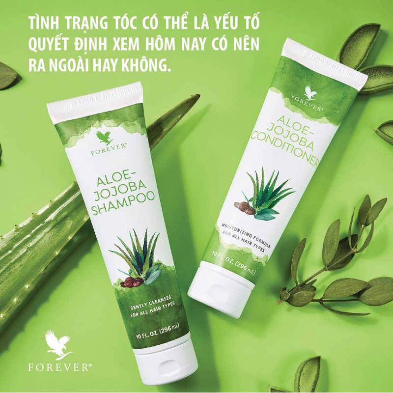 Dầu Gội & Dầu Xả Lô Hội #640 #641Flp. Forever Aloe-Jojoba. Dưỡng Tóc Suôn Mượt, Cho Mọi Loại Tóc