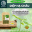 Trà diệp hạ châu-DIỆP CHI- 30 túi lọc- hỗ trợ viêm gan, giải độc, thanh nhiệt chống dị ứng mụn nhọt